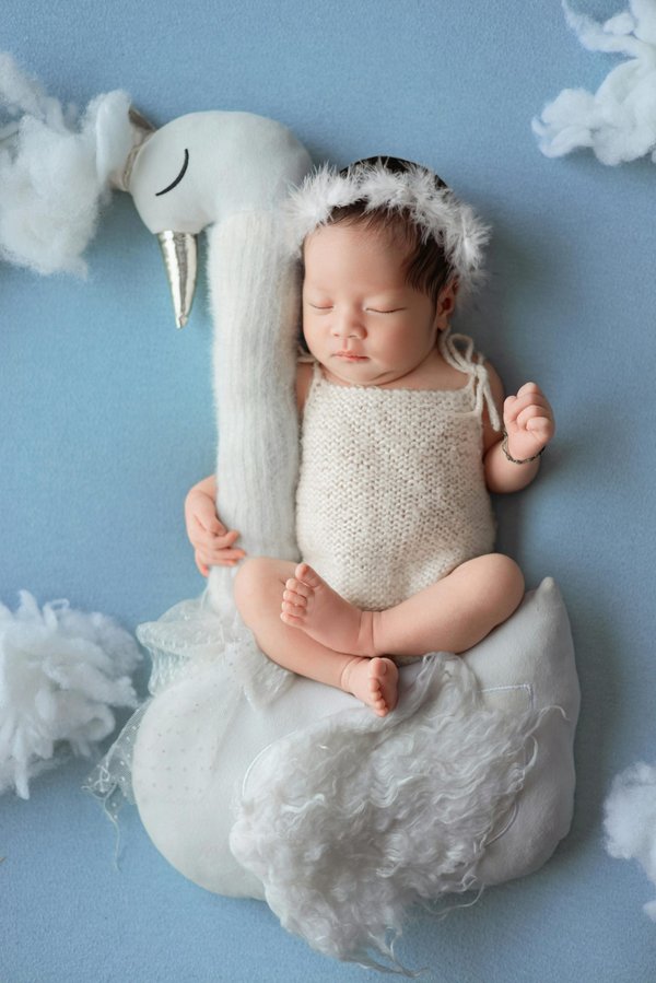 Les meilleures peluches pour câlins et décoration